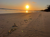 IMG_0438.JPEG