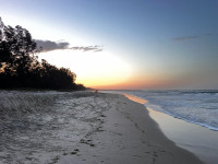 IMG_0282.JPEG