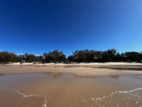 IMG_0232.JPEG