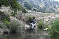 PA5_5079.JPG