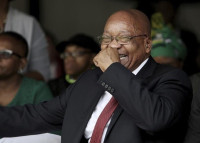 Zuma-laughing-with-fist-raised-to-his-mouth.jpg