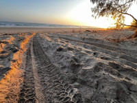IMG_0434.JPEG
