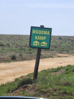 p4.jpg