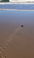 IMG_2047.JPEG