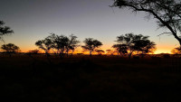 IMG_4728.JPEG