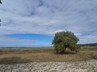 Maputo National Park 02.jpg