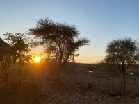 IMG_6353.JPEG
