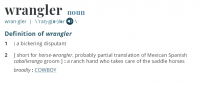 Wrangler 2.png