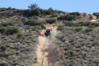 IMG_4434.JPG