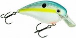 strike-sexy-shad-crankbait.jpg