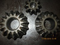 Colt Spider Gear May 2019 001.JPG