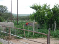 SAM_0642.JPG