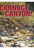 CARNAGE 1-1.jpg
