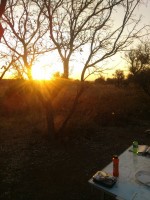 IMG_20200718_172558.jpg