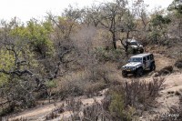 Source Tree 4x4 L Cronje-39.jpg