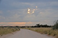 Kgalagadi Day 4 (43) PS.jpg