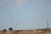 DSC_3810.JPG