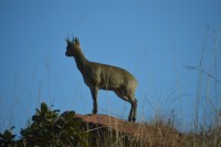 DSC_0019.JPG