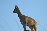 DSC_3407.JPG