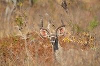 DSC_3387.JPG