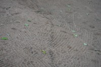 DSC_0540.JPG
