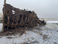 11 Shipwreck Coastal.jpeg