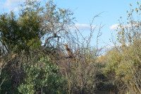 DSC_0253.jpg