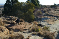 DSC_0163.jpg